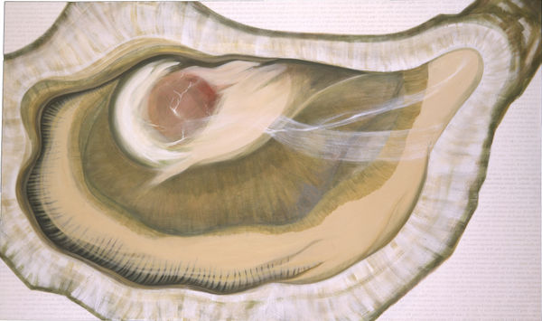 Oyster 5, 2004
