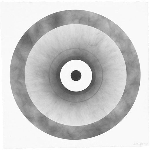 Nine Targets*, 2009-2011