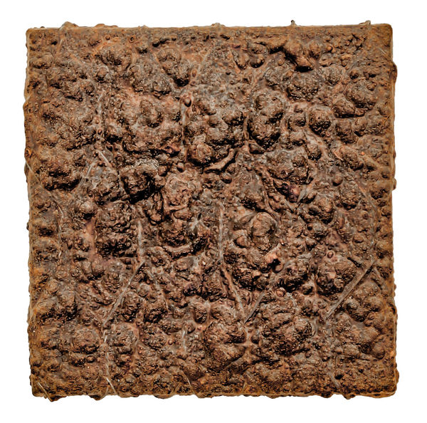 Alan Bee, Genesis, 1975