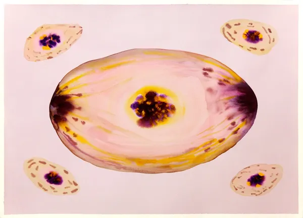 Isabella Nazzarri, Sistema Innaturale #40, 2016