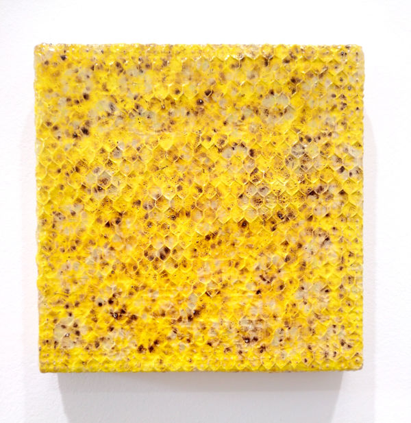 Alan Bee, Animamundi, 1979