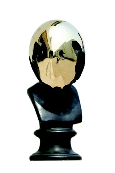 Yang Maoyuan, Voltaire, 2007