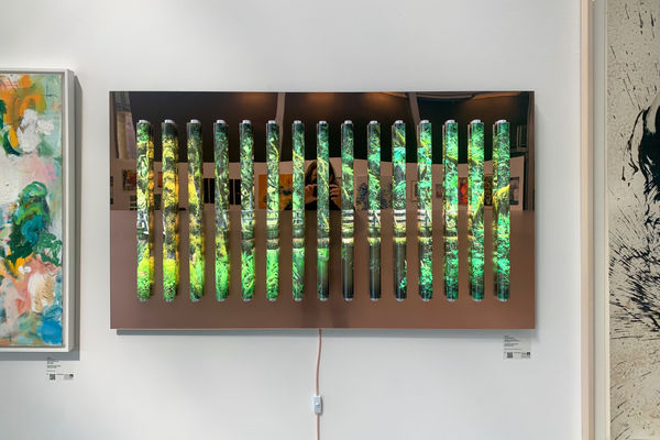 Clint Baclawski, Temperate, 2022