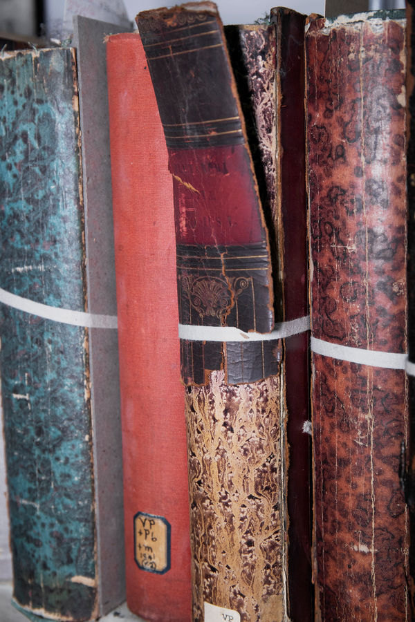 Kristina McComb, Boston Athenaeum 2283, 2021