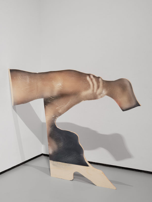 Ambrose Rhapsody Murray, I looked at the spot where flesh joined with plaster, and I pulled hard (Dana), 2025-2026