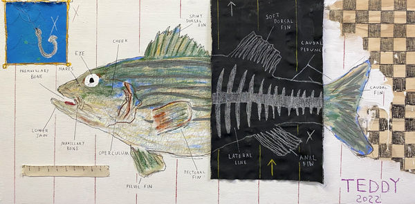 Teddy Benfield, Untitled (Fish Story), 2022