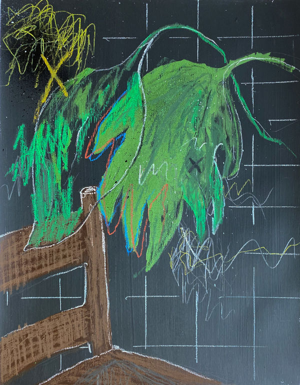 Teddy Benfield, Untitled (House Plant/ Chair), 2022