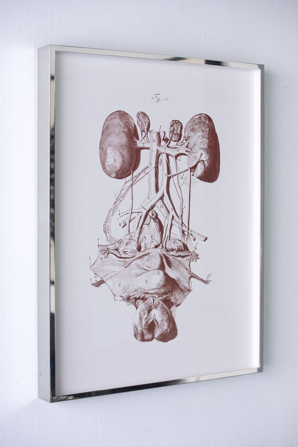 Carlos Aires, HELLO? THIS IS YOUR MOTHER. ARE YOU THERE? (VISCERAL EDITION), 2026