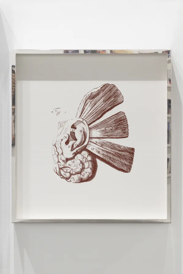 Carlos Aires, THE SOUND OF YOUR LONELINESS (VISCERAL EDITION), 2026