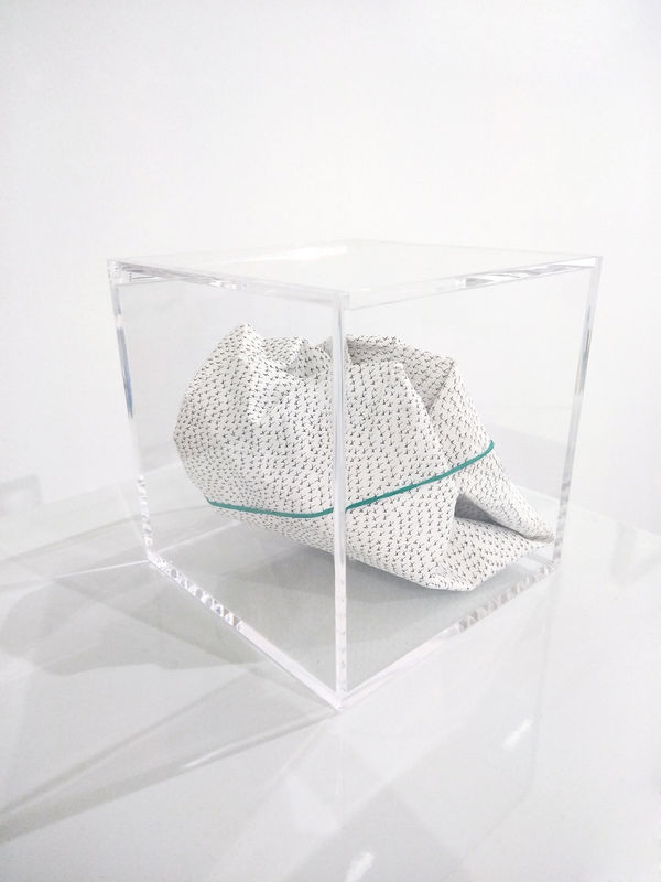 Pep Vidal, Frozen inertness / Inercia congelada, 2019