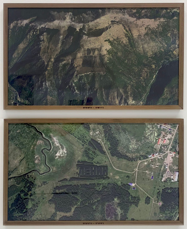 Alán Carrasco, Había venido a los bosques con otros propósitos, 2024