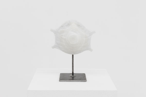 Avelino Sala, Virus, 2020/2021