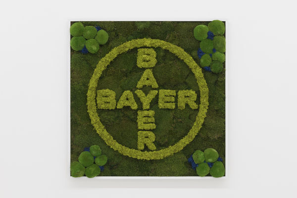 Avelino Sala, Naturas Mortas 3 (BAYER), 2020