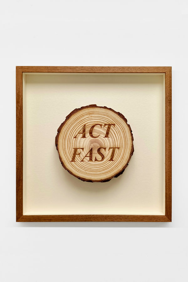 Avelino Sala, Sueño de nadie. Act fast, 2024