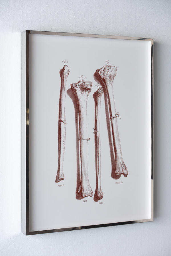 Carlos Aires, VEDRÒ CON MIO DILETTO (VISCERAL EDITION), 2026