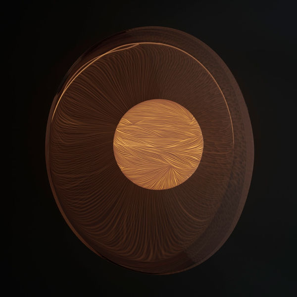 Vezzini and Chen, Seed Light XX, 2019