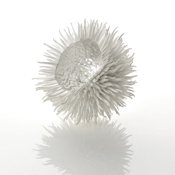 Junko Mori, Silver Organism; Square Spikes, 2018