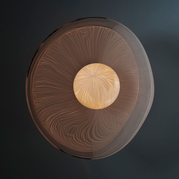 Vezzini and Chen, Seed Light XVIII, 2019