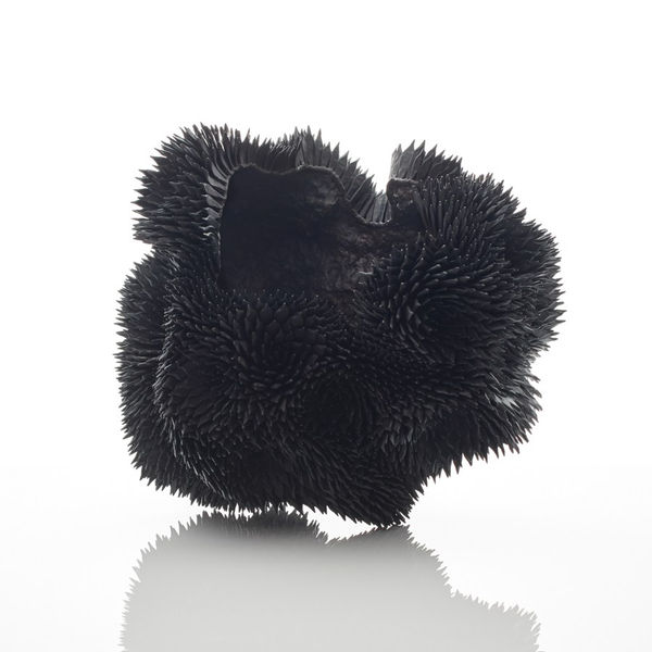 Junko Mori, Propagation Project; Nigella Rosularia, 2019