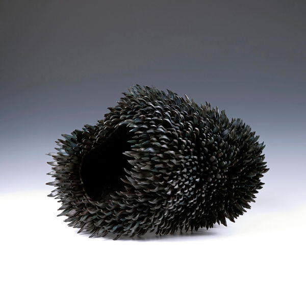 Junko Mori, Propagation Project; Nigella, 2014