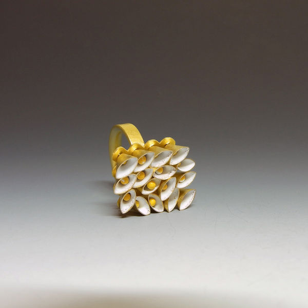 Jacqueline Ryan, Ring with Mobile Cones, 2015