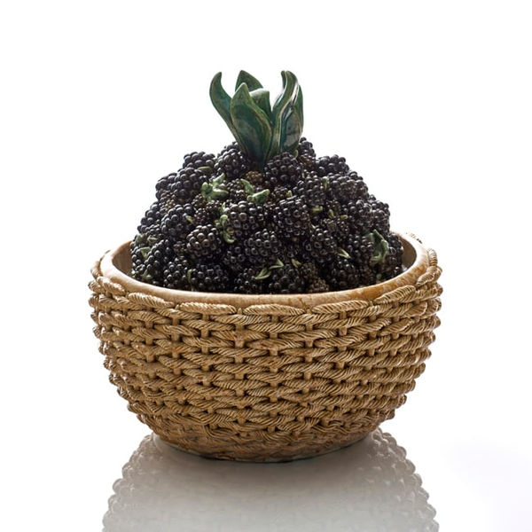 Kate Malone, A Basket of Blackberries, 2020