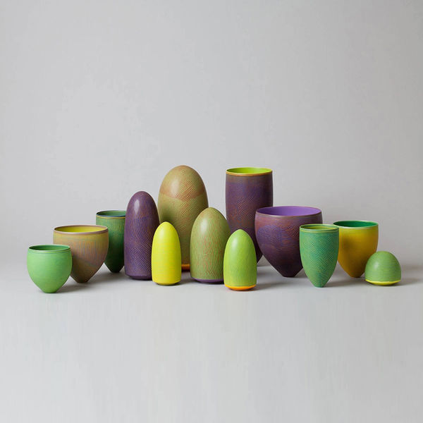 Pippin Drysdale, Kakadu Wet: Wild Lily installation, 2010-2011