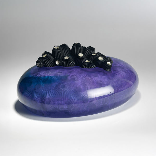 Angela Jarman, Purple Star Coral, 2015