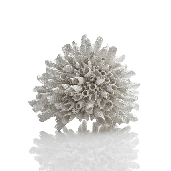 Junko Mori, Silver Organism; Urchin, 2022