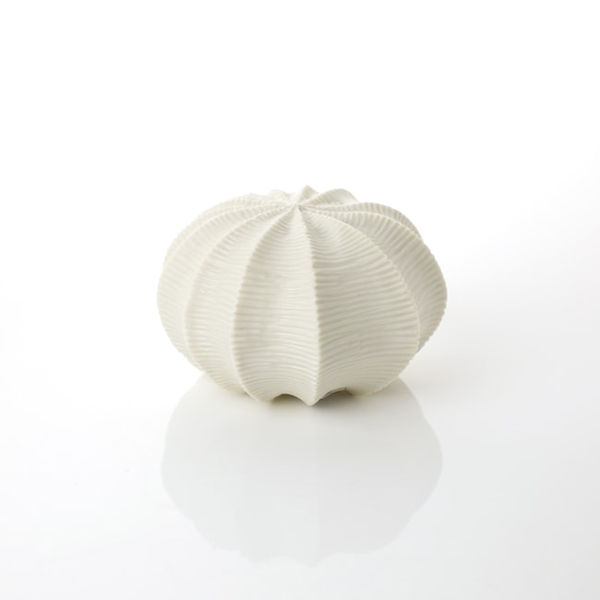 Andrew Wicks, Wide Seed Pod, 2019