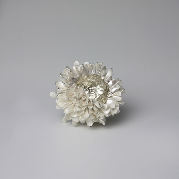 Junko Mori, A Silver Organism; Twisted Leaf, 2013