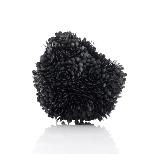 Junko Mori, Propagation Project: Echeveria, 2025