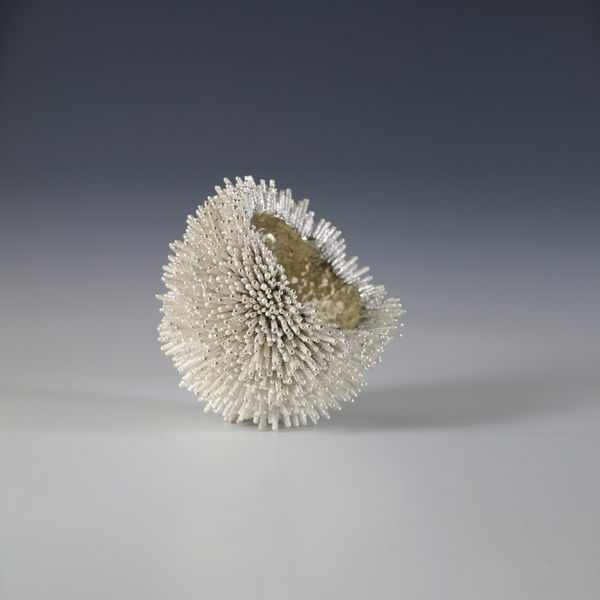 Junko Mori, A Silver Organism; Pine Needle, 2014