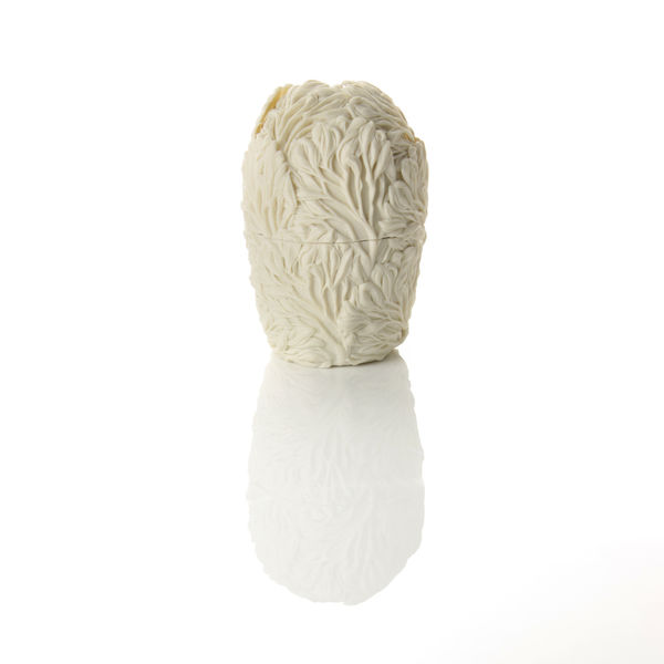 Hitomi Hosono, A Very Small Pierced Mangrove Box with Dancing Top, 2015