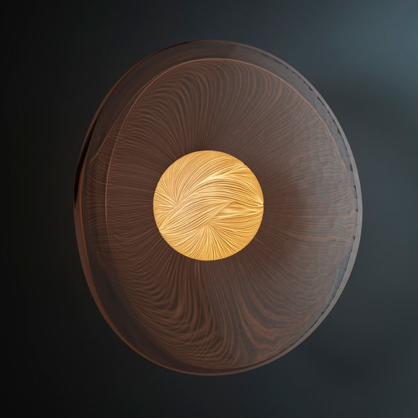 Vezzini and Chen, Seed Light XXI, 2019