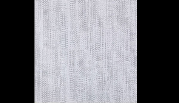 Ildiko HETESI, I have gained 3 inches, 2007