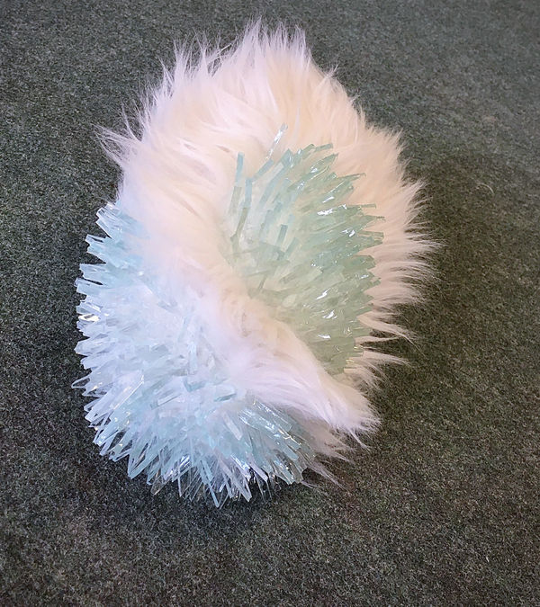 Elodie ANTOINE, Cobaye 1, 2020