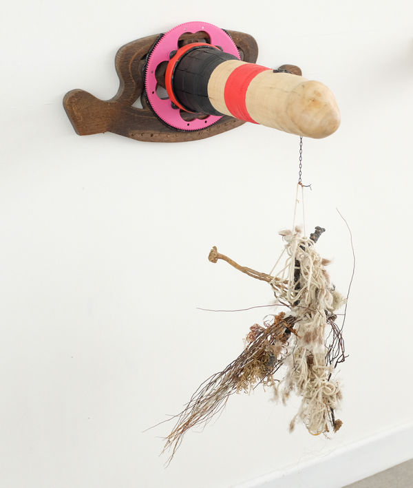 Jeroen FRATEUR, Grote Aaibaarheidsfactor/Grande Caresse, 2016