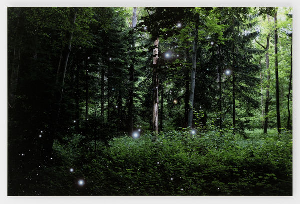 Bernard GIGOUNON, Dysharmony 1, 2015