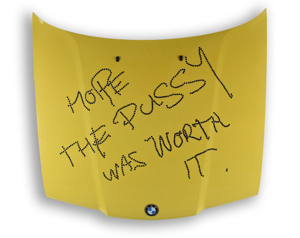 Frances GOODMAN, Hope the Pussy was worth it, 2012