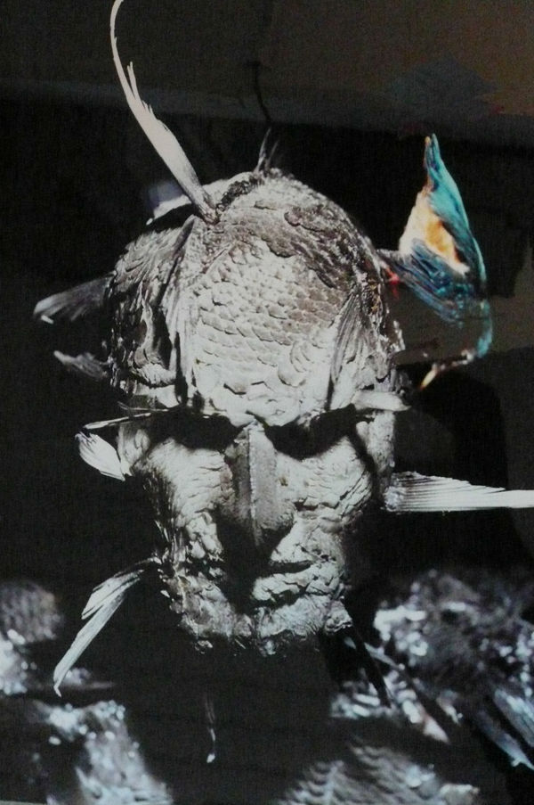 Robert GLIGOROV, Venus birth (head), 2002