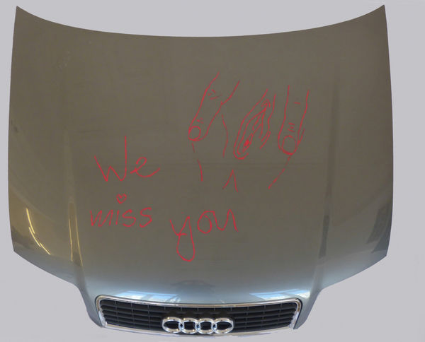 Frances GOODMAN, We miss you, 2012