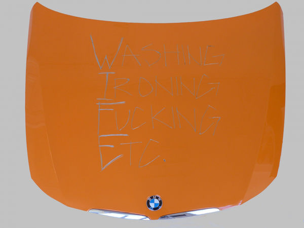 Frances GOODMAN, Washing, ironing, fucking, etc, 2012