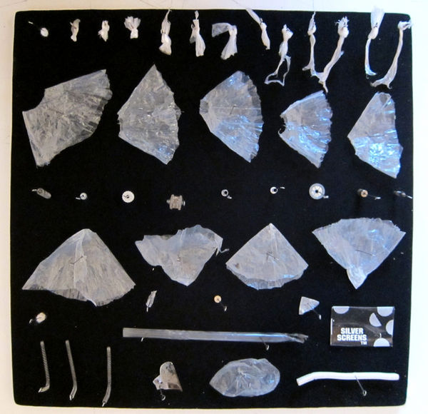 Stephen J. SHANABROOK, Moth collection, 2011