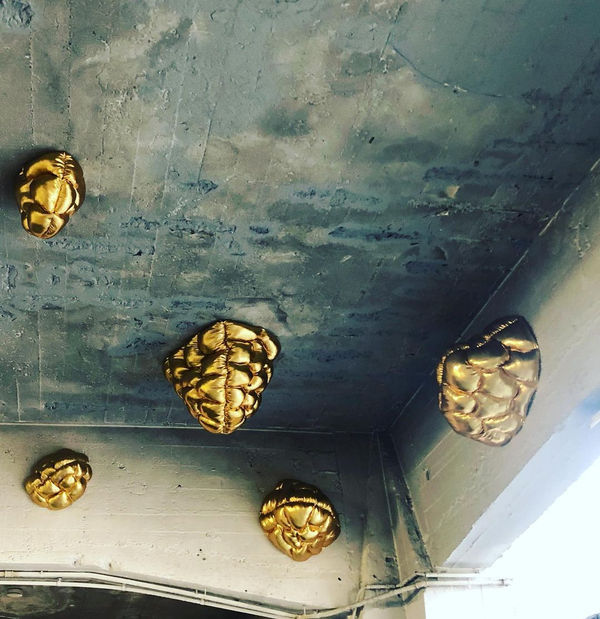 Elodie ANTOINE, 5 champignons dorés, 2021