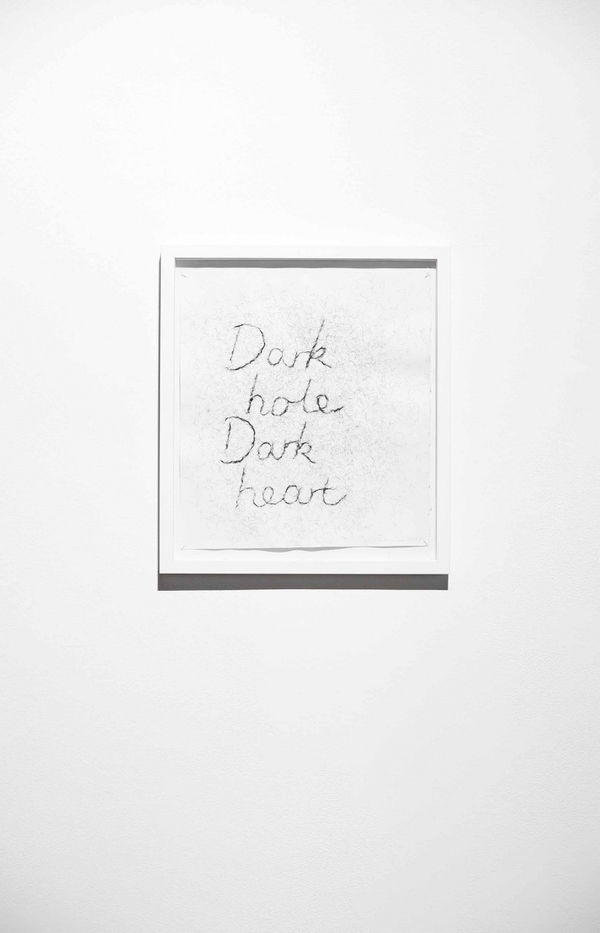 Frances GOODMAN, Dark hole dark heart, 2014
