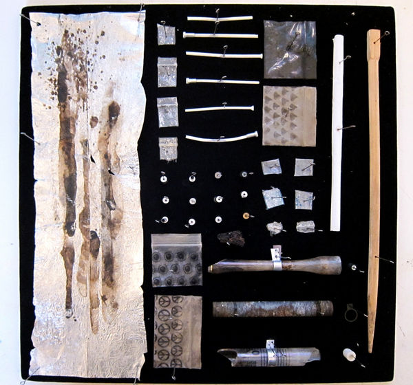 Stephen J. SHANABROOK, Moth collection, 2011