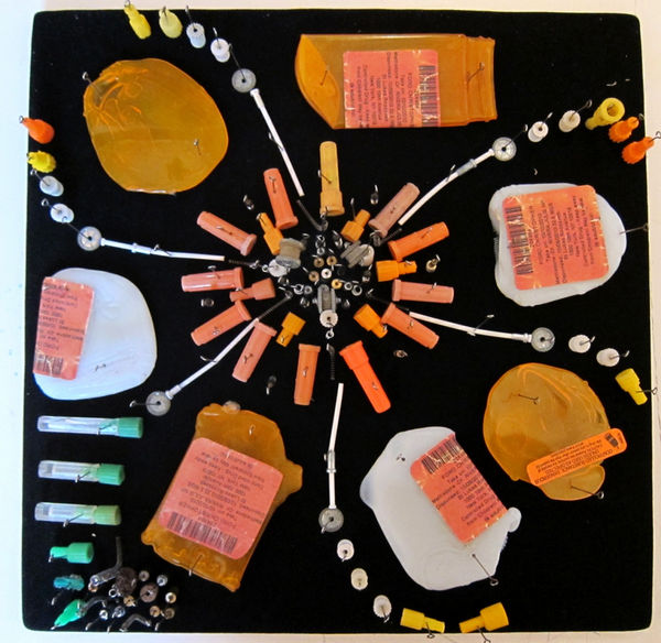 Stephen J. SHANABROOK, Moth collection, 2011