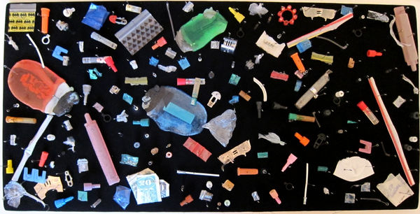 Stephen J. SHANABROOK, Moth collection, 2011