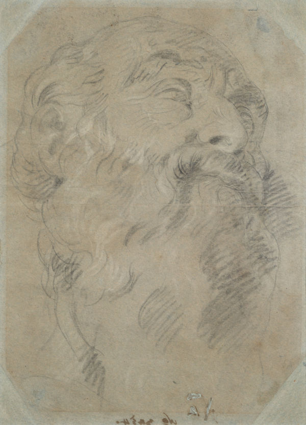 Giovanni Domenico Tiepolo - Head of a bearded man looking up, to the right